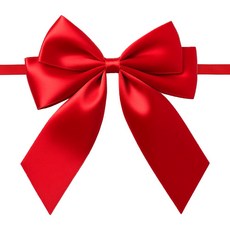 드림팩토리 공단 완성리본 타이리본(더블), 20개, 레드