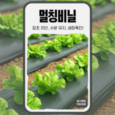 소량판매 멀칭비닐 무공 유공 두께0.02mm 검정 두꺼운 농업용 농사 텃밭비닐 잡초 텃밭용, 무공 120cm X 10M