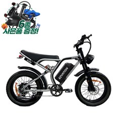 이지베이션 BS슬릭 알루미늄 가벼운 전기자전거 AL 자토바이 펫바이크 850W 48V, 새틴실버