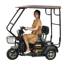 전기 세발 자전거 8a 30km 픽업카 형 삼륜자전거 집앞 안전 48V 덮개, 단독 캔버스 촬영