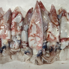 제주 자연산 생물 총알 한치 통찜 내장 한치 숙회 국내산 산지직송, 1개, 제주 생물 총알한치 1kg (15~20미)