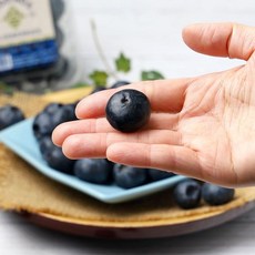 장보남 칠레산 블루베리 생과 2팩 4팩 생블루베리, N.블루베리 16mm(125gx4팩)