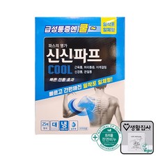 신신제약 신신파프 COOL, 25개입, 1개