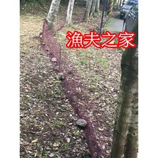 漁夫之家居家防護網，超小網目防蛇網，防鳥網，防護力強，T組第3組, 1個
