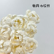 “Be a florist 花藝夢” 高品質索拉 牡丹 索拉 6公分 8公分(把) 擴香花 乾燥花 永生花, 白色,6公分(十支)