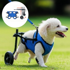 포유포펫 강아지 휠체어 애견 보행 보조기, 파스텔 블루, 1개, XS
