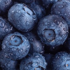 푸릇상회 생 블루베리, 1박스, 왕특 2팩