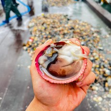 [제철특가] 여수 자연산 특품 손질 새조개 원물1.2kg급 급냉 새조개 샤브샤브, 1개, 급냉 노랑새조개400g