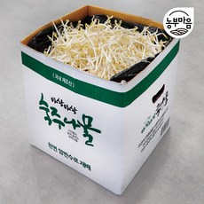 [생산지 직송] 신선하고 숙주나물 통통한 숙주 나물, 1개, 1kg