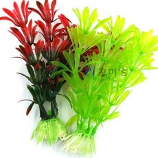 꼬미s 어항용 수초 S 수초판매