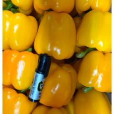 은혜상회 국내산 파프리카 노랑 마트 샐러드용 가락시장 도매납품 가정용, 1개, 3kg