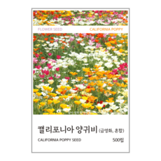 캘리포니아 양귀비(금영화) 혼합 씨앗 500립, 1개