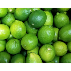 saseU 팬시등급 생라임 생 라임 탱글탱글 향긋 상큼 1kg 3kg 5kg 10kg, 1박스