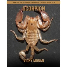 Scorpion: Amazing Facts and Pictures about Scorpion for Kids Paperback, Independently Published