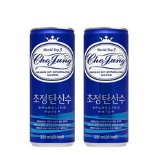 초정탄산수, 250ml, 30개