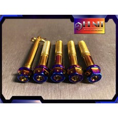 瘋螺絲 Brembo對四螺絲插銷組 白鐵鍍鈦 CNC內外六螺絲, 1個