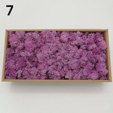 신상품 인공 녹색 식물 영원한 생명 이끼 잔디 DIY 화분에 심은 미니 풍경 가짜 정원 벽 장식 보존, 8)10g, 7