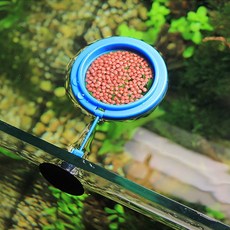 열대어 구피 거북이 피딩컵 원형 사각 어항 트레이, 1개