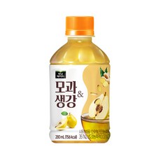 미닛메이드 모과생강 280ml 12패트, 12개