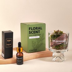 XMXZH 松木青苔 無火香薰禮盒, 1件, 50L, 青苔擴香杯 眠夢青苔 精油10ML