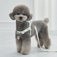 베일리펫 강아지 웨빙 경량 산책 가슴줄 테디 워키 하네스, 민트 민트