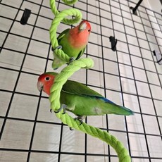 놀이터 앵무새 횟대 와이어 1.5m 로프 용품 사육, 1개, 상세페이지 참조