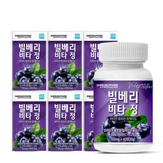 삼성제약 빌베리 비타정, 60정, 6개