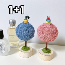 [이브닝메종] 스칸디아모스 1+1 갓성비 XS사이즈 화분, 시클라멘, 1개