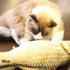비단잉어 인형 생선 붕어 대형 쿠션 용품 반려묘 30cm 986000ea (개), 본상품