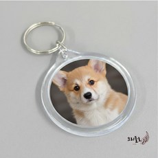 아트박스/굿즈하우스 아크릴 투명 증사 최애 사진 원형 액자 키링 대형