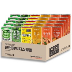 [한번에먹자] 미니캔 과즙음료 6종 혼합세트 / 자연은알로에 + 초록매실 + 비락식혜 + 프레주망고 + 프레주복숭아 + 프레주한라봉, 30개, 175ml