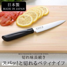 Arnest 日本不鏽鋼水果刀 13cm 永切れ王 新潟縣製, 1個