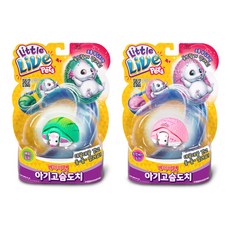 베이비펫 아기고슴도치, 1개
