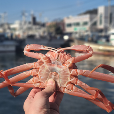 [내일도착] 자숙대게 3.5kg 12-15미 내외 / 50박스 한정판매, 1박스