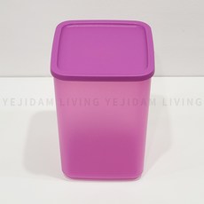 타파웨어 싱싱블록 2.2L 냉장고 정리용기, 1세트, 1개입