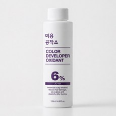 미용공작소 컬러 디벨로퍼 산화제 6%, 1개, 120ml