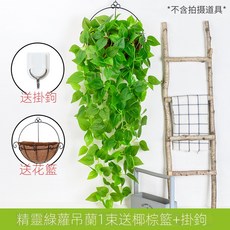 仿真綠蘿客廳掛墻綠植 壁掛植物裝飾 垂吊假花藤 條室內藤蔓吊蘭吊籃, 精靈綠蘿吊蘭1束(送椰棕籃), 1個