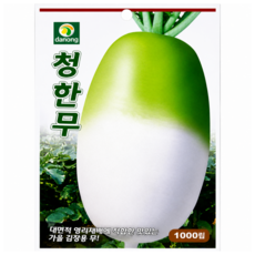 가을김장무씨앗 청한무 1천립 초보 텃밭용 김장종자
