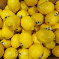 썬키스트 칠레산 미국산 정품 레몬, 1박스, 중과 10과 (1.2kg내외)