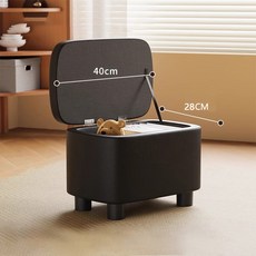 DANGZ 다용도 현관 수납의자 수납쇼파 스툴 대기의자, 1개, 블랙(인기추천)