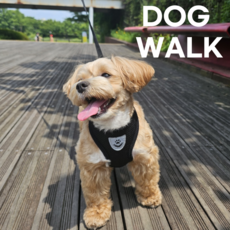 도그워크 앞섬방지 강아지 가슴줄, 블랙, 1개