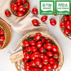 지엘농장 100%유기농인증 대추방울토마토3kg저탄소인증 장관상 천적과 수정벌사용, 1개