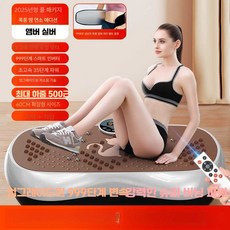 핫딜러쉬 진동다이어트운동기구 진동운동기, 상세페이지 참고, 2025 플래그십 (앰버 실버)