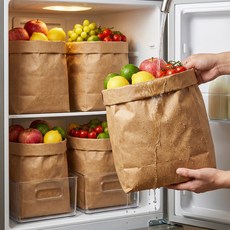 1평주방 숨쉬는 냉장고정리 방수 소가죽 페이퍼백 다용도 수납 봉투, 4개, 크라프트(방수)