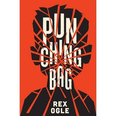 Punching Bag Hardcover, Norton Young Readers, English, 9781324016236