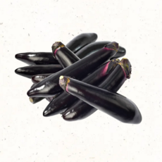 친환경 가지 부드러운 제철 못난이가지 햇가지 프리미엄 채소, 1kg, 1개