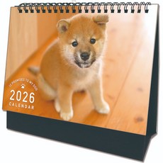 BABY DINO 2026年三角桌曆 可愛貓狗寵物插畫恐龍風景月曆, 1個, SCC22069I-坐坐狗