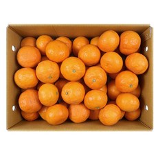 코스트코 제주카라향 5kg 643339