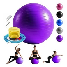 65cm1+6활동 짐볼 필라테스볼 헬스볼 pvc 강화 임산부 조산 훈련구 짐볼 강화 핵심 임산부 균형 훈련 어린이 창조력 (펌프 + 에어백 + 마개 + 저항대 2P), 퍼플짐볼