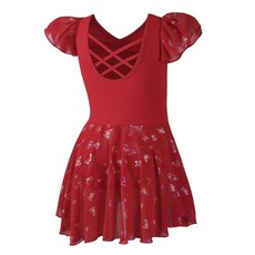 DIPUG 여아용 발레 레오타드 스커트 포함 반짝이는 유아 댄스 레오타드 나비 핑크, 레드